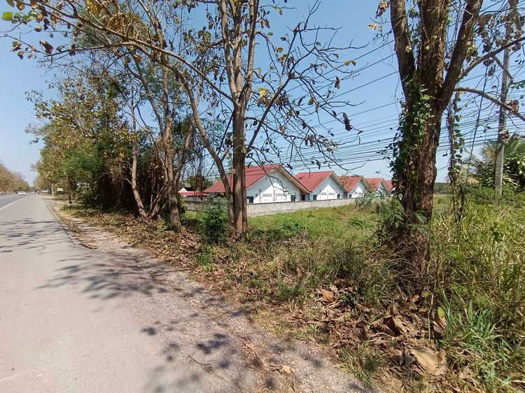 ขายที่ดินเปล่า 2 ไร่ ติดถนนพหลโยธิน ใกล้แหล่งชุมชน จ.เชียงราย รูปที่ 4