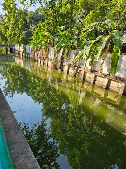 มีบางส่วน 2020 ห้องว่างให้เช่า  รูปที่ 4