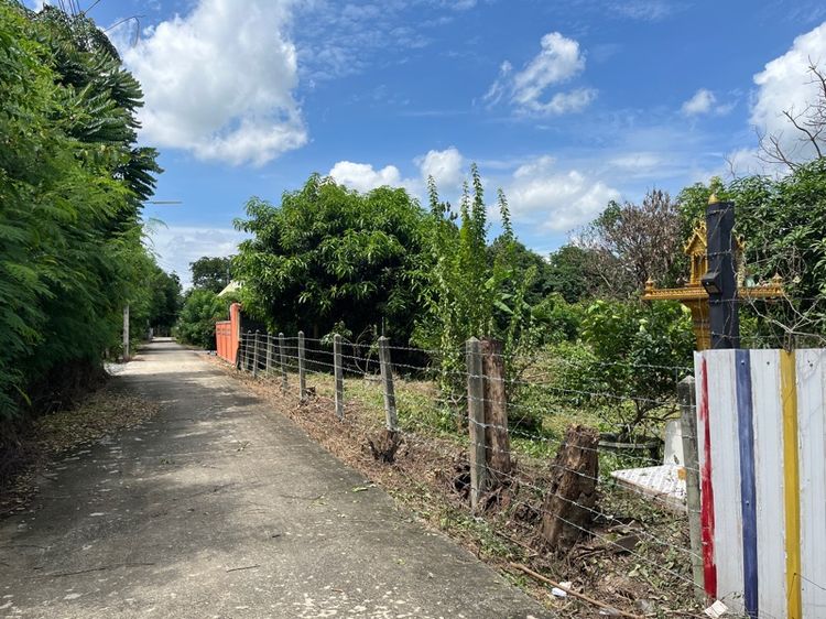 มีบางส่วน 2021 อื่นๆ บ้านสวน รูปที่ 3