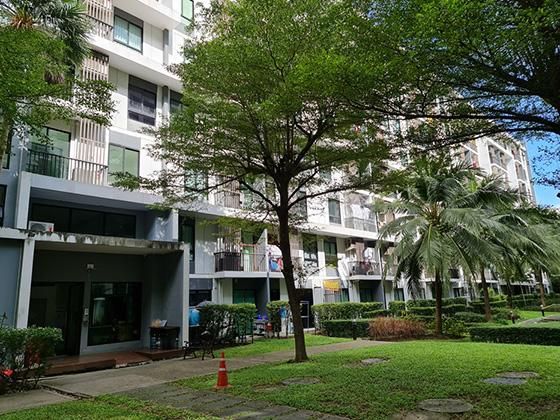 คอนโด ไอคอนโด สุขุมวิท 105-1