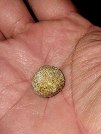 ลูกอม รุ่นแรกๆ หลวงพ่อทวด วัดช้างให้ ขนาดวงรอบประมาณ 1 ซม. ลูกอมเนื้อดินกากยายักษ์ ผสมว่าน สีออกน้ำตาลอมดำ แท้ตามมาตรฐาน ผิวแห้ง มีแร่ เม็ดด