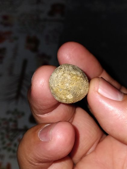 ลูกอม รุ่นแรกๆ หลวงพ่อทวด วัดช้างให้ ขนาดวงรอบประมาณ 1 ซม. ลูกอมเนื้อดินกากยายักษ์ ผสมว่าน สีออกน้ำตาลอมดำ แท้ตามมาตรฐาน ผิวแห้ง มีแร่ เม็ดด รูปที่ 3