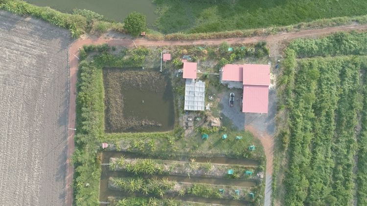 ขายที่ดิน 9 ไร่ 1 งาน 28 ตารารางวา ถนนหมายเลข 3200 สายฉะเชิงเทรา-บางน้ำเปรี้ยว พร้อมสวนทุเรียน รูปที่ 4