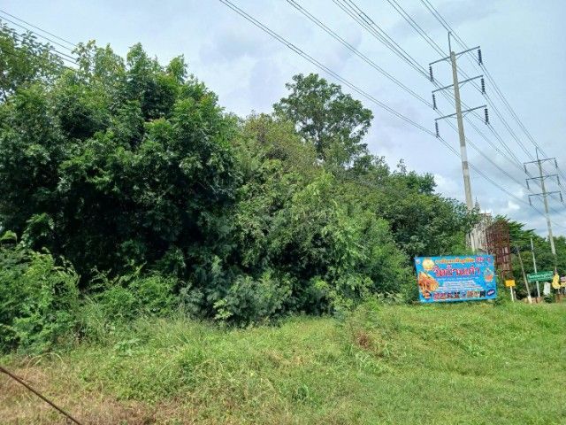 ขายให้เช่าที่ดินทำเลดีที่ดิน2ไร่3งาน14ตรวหน้ากว้าง40เมตร10ห้องติดถ.ด่านขุนทด-ท่าหลวงอ.ลำสนฮิต.เขาน้อยจ.ลพบุรี รูปที่ 2