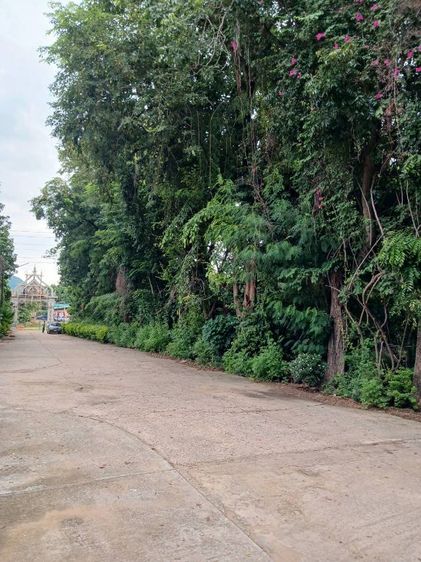 ขายให้เช่าที่ดินทำเลดีที่ดิน2ไร่3งาน14ตรวหน้ากว้าง40เมตร10ห้องติดถ.ด่านขุนทด-ท่าหลวงอ.ลำสนฮิต.เขาน้อยจ.ลพบุรี รูปที่ 4