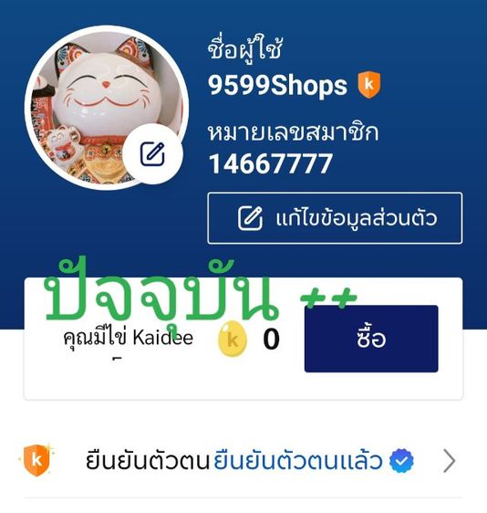 สเตย์แผ่น กระชับหน้าท้องzise xl รูปที่ 5
