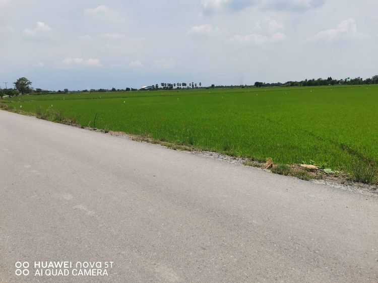 ที่ดิน ที่นา 24 ไร่  บางเลน  นครปฐม  รูปที่ 4