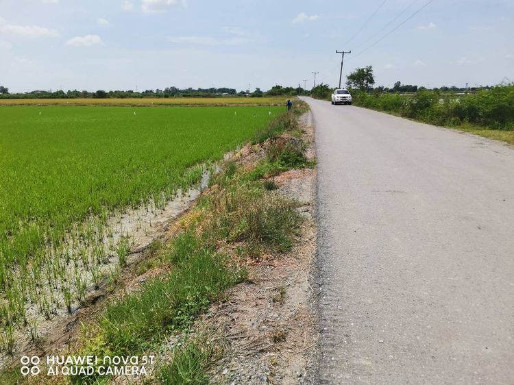 ที่ดิน ที่นา 24 ไร่  บางเลน  นครปฐม 