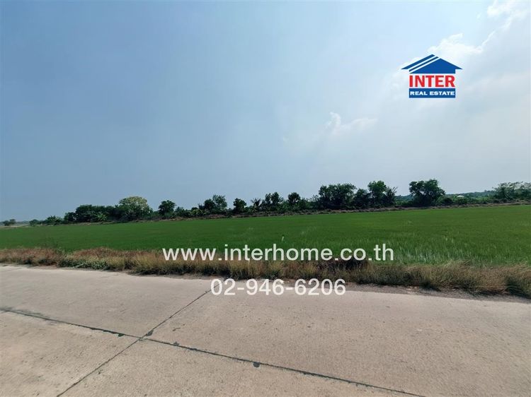 ไม่ใช่ ที่ดินเปล่า 800 ตร.ว. ที่ดินเปล่า ซอยบึงบอน35 ใกล้มหาวิทยาลัยเทคโนโลยีราชมงคลธัญบุรี ถนนรังสิต-นครนายก ถนนเลียบคลอง8 หนองเสือ ปทุมธานี รูปที่ 4