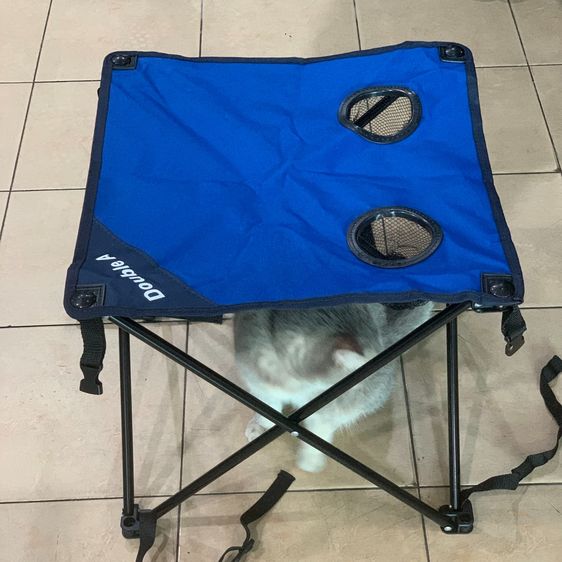 เก้าอี้แค้มป์ โต๊ะแคมป์ปิ้ง 
