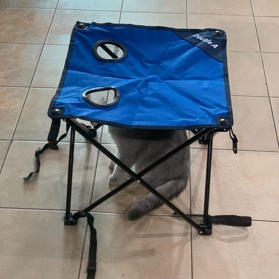 โต๊ะแคมป์ปิ้ง  รูปที่ 3