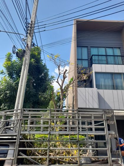 ช่างรับเปลี่ยนไม้ค้ำยันบ้านกลางเมือง รูปที่ 7