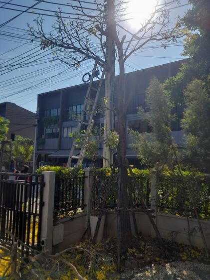 ช่างรับเปลี่ยนไม้ค้ำยันบ้านกลางเมือง รูปที่ 2