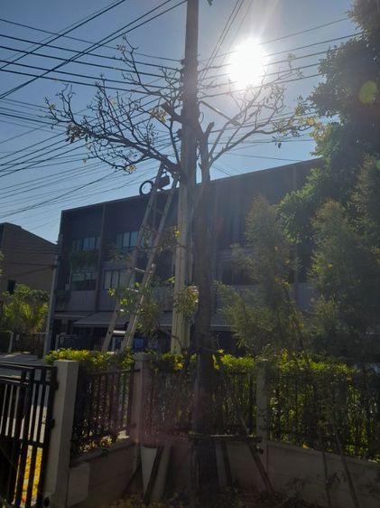 ช่างรับเปลี่ยนไม้ค้ำยันบ้านกลางเมือง