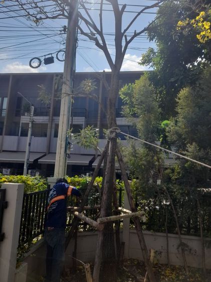 ช่างรับเปลี่ยนไม้ค้ำยันบ้านกลางเมือง รูปที่ 5