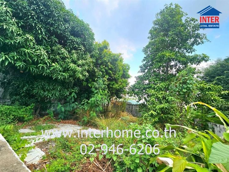 ที่ดินเปล่า ซอย ต รวมโชค 42.2 ตร.ว. ซอยโชคชัย4 ซอย54 แยก4 ซอย26-1 โชคชัย4 ซอย54 แยก4 ซอย26-1 ใกล้เซ็นทรัลอีสต์วิลล์ ถนนโชคชัย4 เขตลา รูปที่ 3