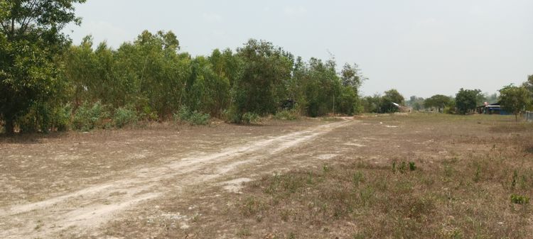 ขายที่ดิน จังหวัดกาฬสินธุ์  (Land For Sale) รูปที่ 2