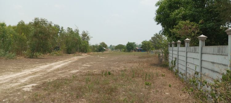 ขายที่ดิน จังหวัดกาฬสินธุ์  (Land For Sale) รูปที่ 3