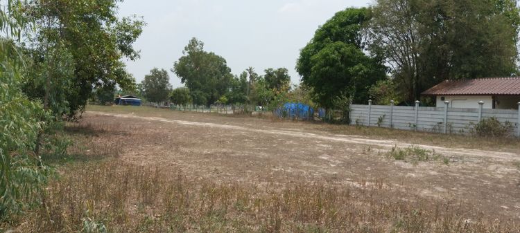 ขายที่ดิน จังหวัดกาฬสินธุ์  (Land For Sale) รูปที่ 4