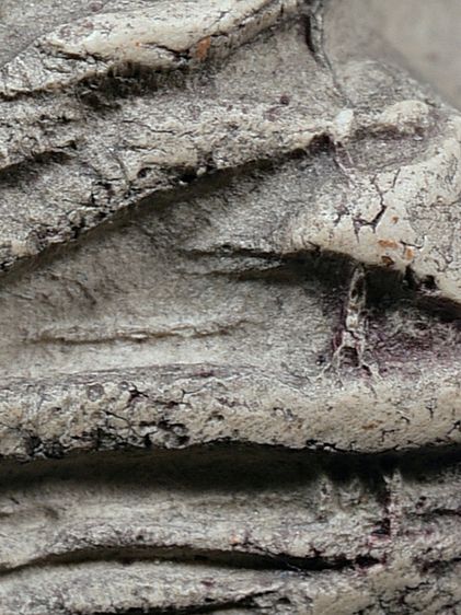 (Number One) 1 ในไม่กี่องค์ สวยงาม มรดกบ้าน หายาก (พระสีดอกพิกุลแห้ง) พระชุดเบญจภาคี พระรอด วัดมหาวัน จ.ลำพูน พิมพ์ใหญ่ มองเห็นมวลสารชัดเจน รูปที่ 9