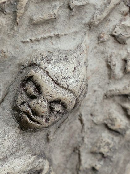 (Number One) 1 ในไม่กี่องค์ สวยงาม มรดกบ้าน หายาก (พระสีดอกพิกุลแห้ง) พระชุดเบญจภาคี พระรอด วัดมหาวัน จ.ลำพูน พิมพ์ใหญ่ มองเห็นมวลสารชัดเจน รูปที่ 15