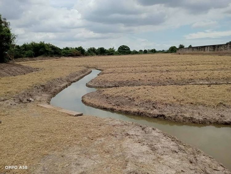 ที่ดิน 20 ไร่  กระทุ่มแบน สมุทรสาคร รูปที่ 2