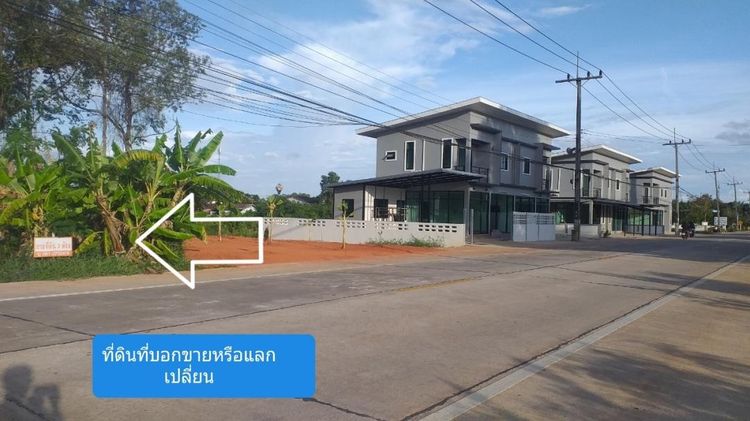 ขาย ให้เช่า หรือเแลกเปลี่ยน ที่ดิน 3 ห้อง ติดถนนสายสะพานพร้าว-ต.ตำนาน ห่างจากศาลากลางประมาณ 2 กม. อ.เมืองพัทลุง