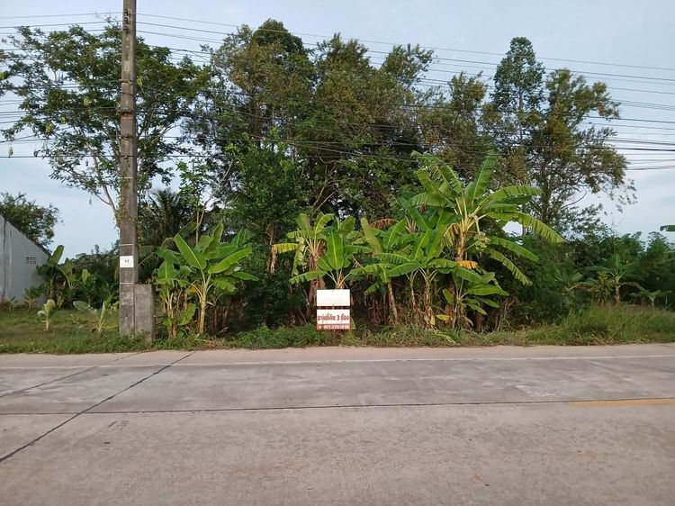 ขาย ให้เช่า หรือเแลกเปลี่ยน ที่ดิน 3 ห้อง ติดถนนสายสะพานพร้าว-ต.ตำนาน ห่างจากศาลากลางประมาณ 2 กม. อ.เมืองพัทลุง รูปที่ 3