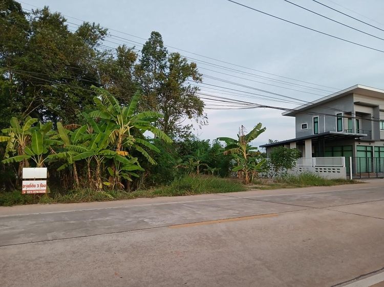 ขาย ให้เช่า หรือเแลกเปลี่ยน ที่ดิน 3 ห้อง ติดถนนสายสะพานพร้าว-ต.ตำนาน ห่างจากศาลากลางประมาณ 2 กม. อ.เมืองพัทลุง รูปที่ 4