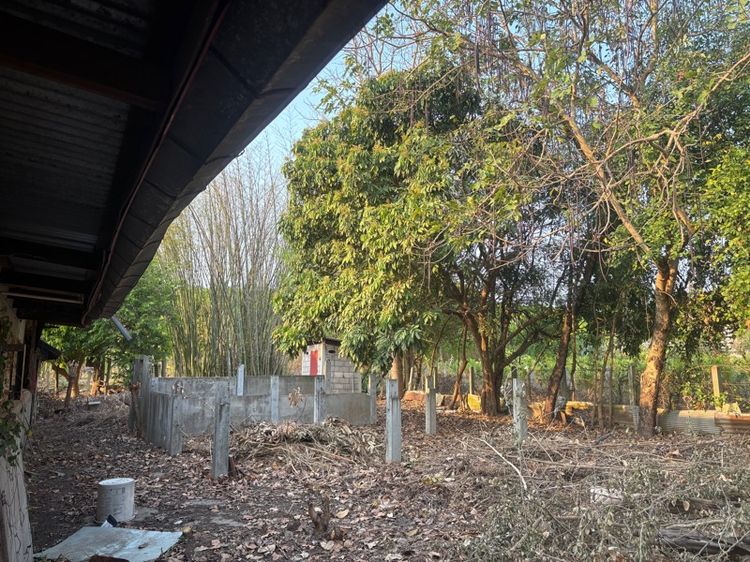 บ้านพร้อมที่ดิน  รูปที่ 4