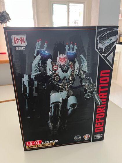 โมเดลทรานฟอร์มเมอร์ รูปที่ 8