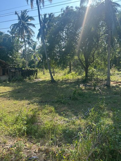 ขายที่ดิน 2ไร่ครึ่ง (เนื้อที่ใช้สอยจริง 3 ไร่) ใกล้ชายทะเล รูปที่ 4