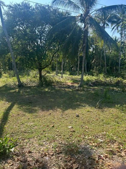 ขายที่ดิน 2ไร่ครึ่ง (เนื้อที่ใช้สอยจริง 3 ไร่) ใกล้ชายทะเล รูปที่ 3