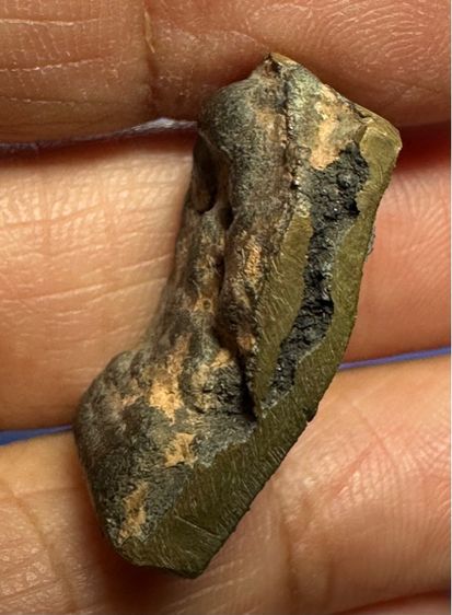 🙏พระรัตนะเนื้อสัมฤทธิ์พิมพ์พระนาคปรก ตัดเดี่ยว🙏รูปหล่อโบราณ ไม่ทราบที่ องค์ละ1850 รูปที่ 4