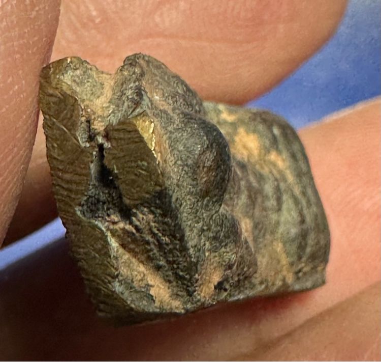 🙏พระรัตนะเนื้อสัมฤทธิ์พิมพ์พระนาคปรก ตัดเดี่ยว🙏รูปหล่อโบราณ ไม่ทราบที่ องค์ละ1850 รูปที่ 5