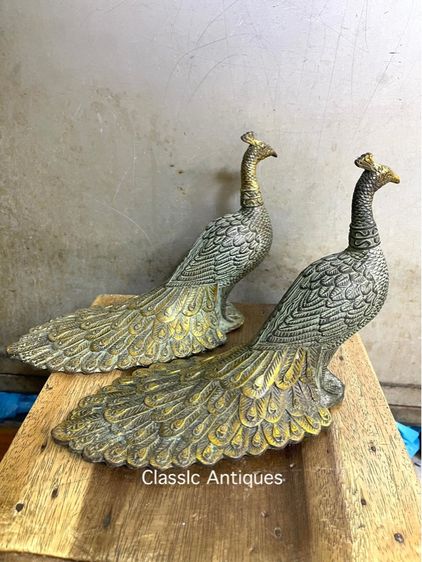 นกยูง ทองเหลือง ขนาดกลาง สะสม