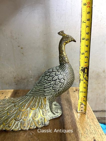 นกยูง ทองเหลือง ขนาดกลาง สะสม รูปที่ 8