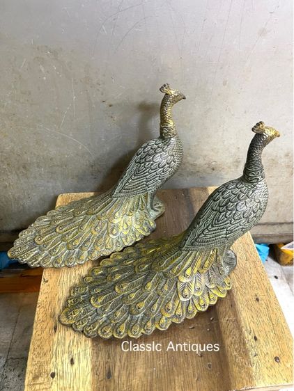 นกยูง ทองเหลือง ขนาดกลาง สะสม รูปที่ 6