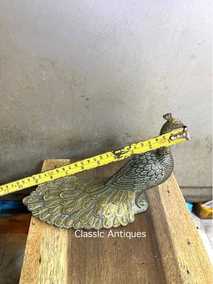 นกยูง ทองเหลือง ขนาดกลาง สะสม รูปที่ 9