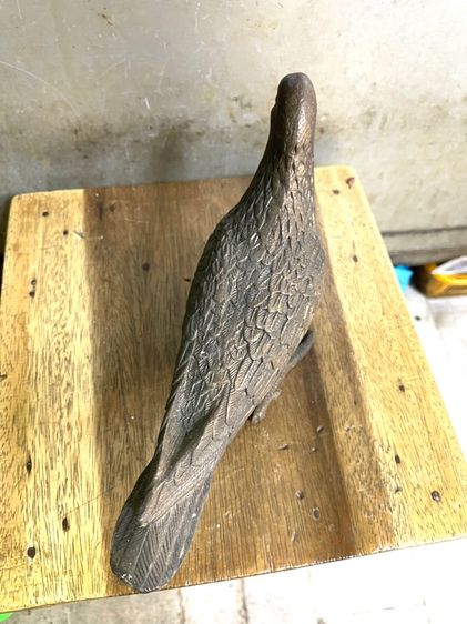 นก คู่ทองเหลืองสะสม รูปที่ 12