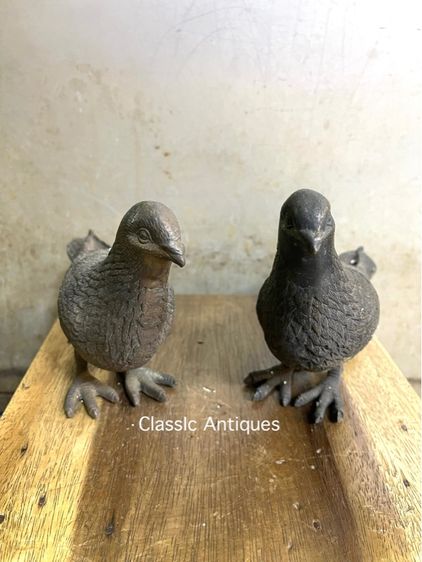 นก คู่ทองเหลืองสะสม รูปที่ 8