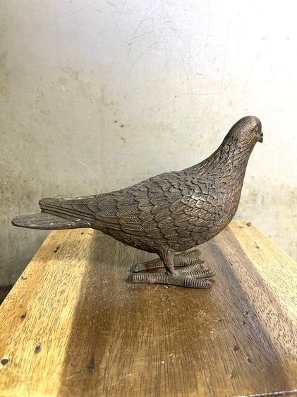 นก คู่ทองเหลืองสะสม รูปที่ 11