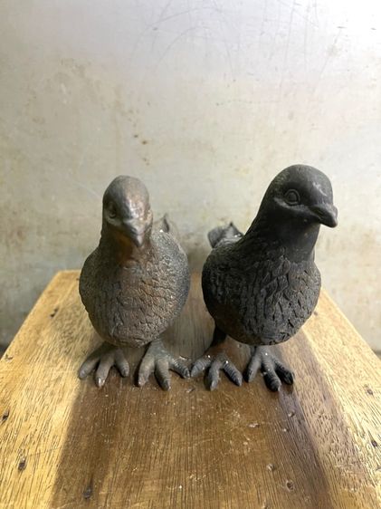 นก คู่ทองเหลืองสะสม รูปที่ 18