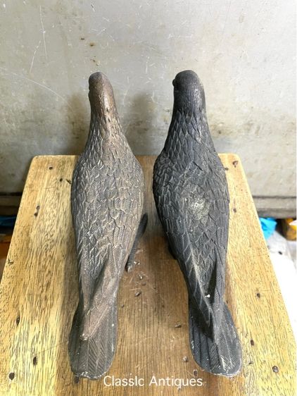 นก คู่ทองเหลืองสะสม รูปที่ 6