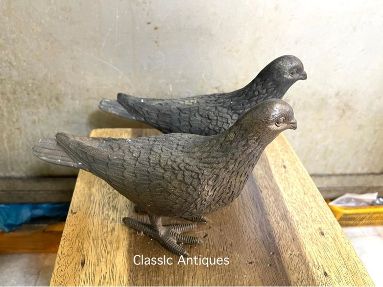 นก คู่ทองเหลืองสะสม รูปที่ 7