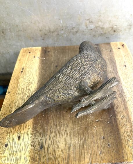 นก คู่ทองเหลืองสะสม รูปที่ 13