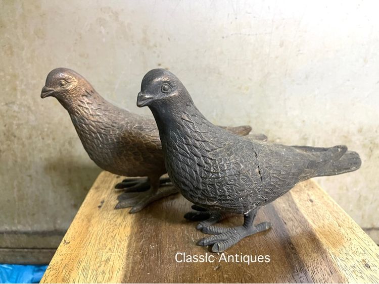 นก คู่ทองเหลืองสะสม