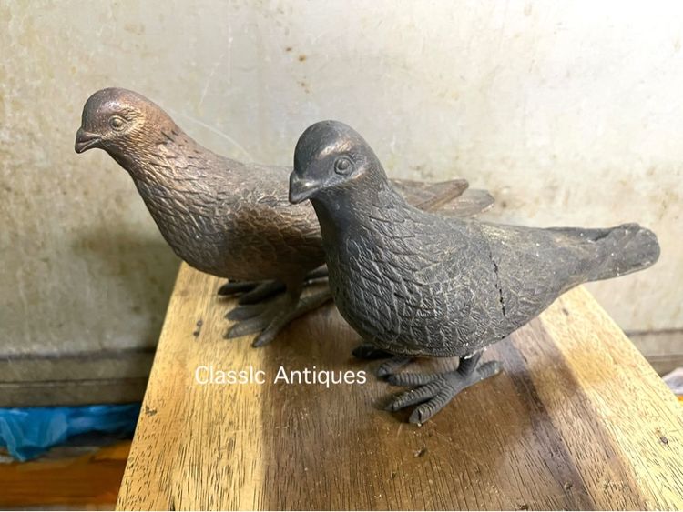 นก คู่ทองเหลืองสะสม รูปที่ 2