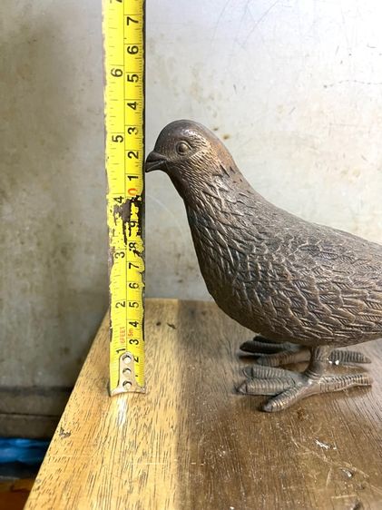 นก คู่ทองเหลืองสะสม รูปที่ 15