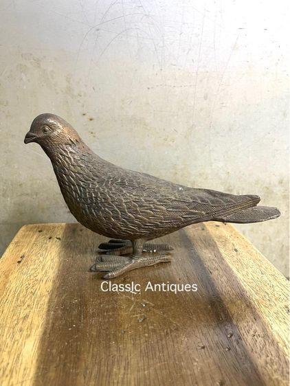 นก คู่ทองเหลืองสะสม รูปที่ 14